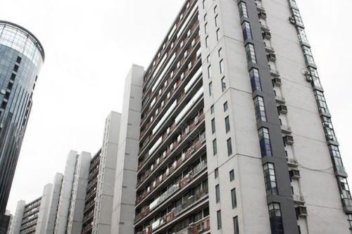 上海青年城優(yōu)點 不足,上海青年城怎么樣,上海青年城周邊房產(chǎn)中介經(jīng)紀人評價