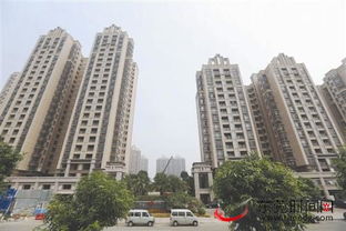 東莞日報多媒體數(shù)字報刊平臺_東莞時間網(wǎng)