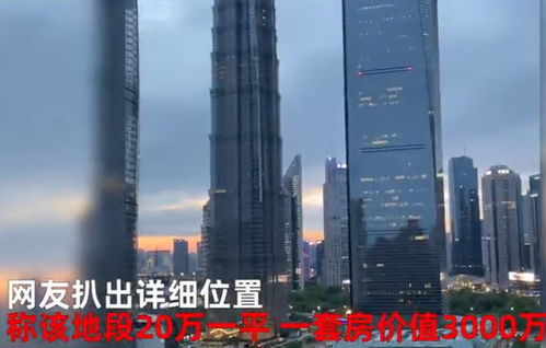 李立群售賣(mài)上海千萬(wàn)房產(chǎn),不再拍內(nèi)地戲,被稱墻頭草兩邊不討好