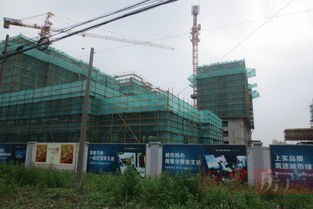 上實(shí)海上薈 上海上實(shí)海上薈配套實(shí)景圖,樣板間,效果圖,戶型圖 上海網(wǎng)易房產(chǎn)